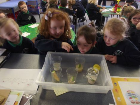 Apple Scientists!