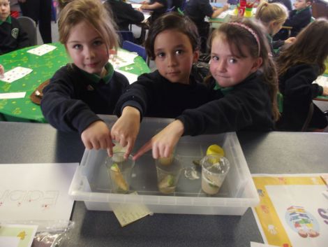 Apple Scientists!