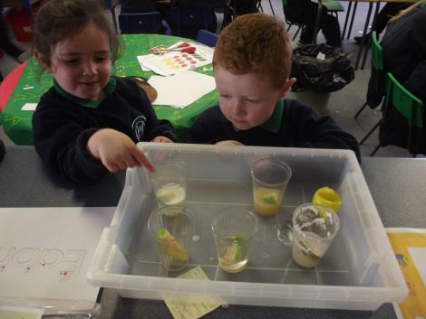Apple Scientists!