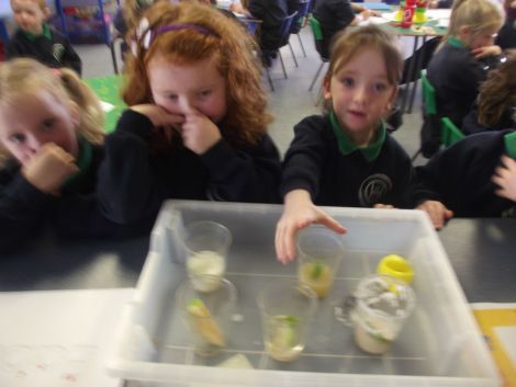 Apple Scientists!