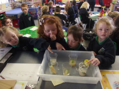 Apple Scientists!