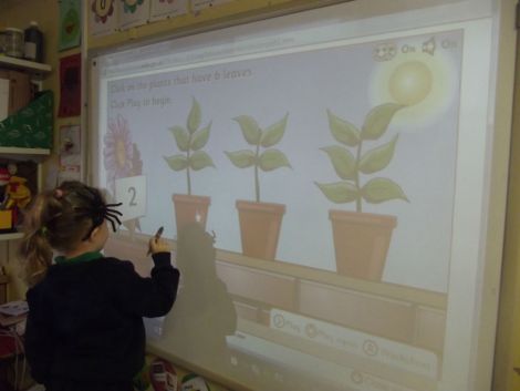 Number games on the Interactive Whiteboard.