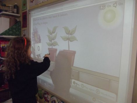 Number games on the Interactive Whiteboard.